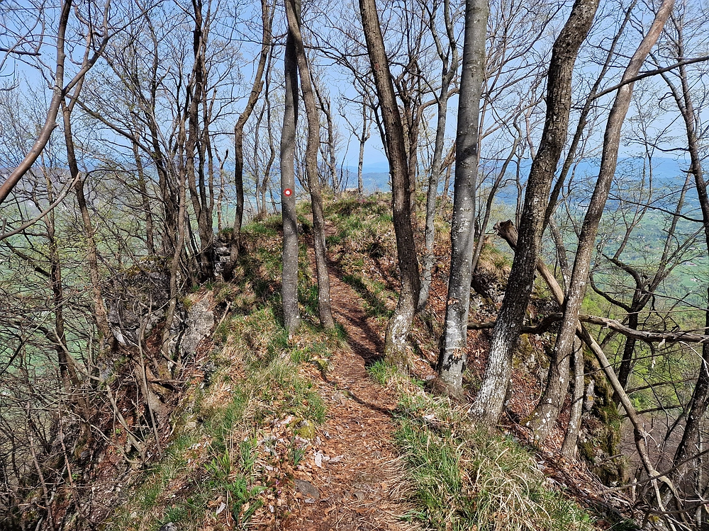 Slika je vidna v Google Chromu.