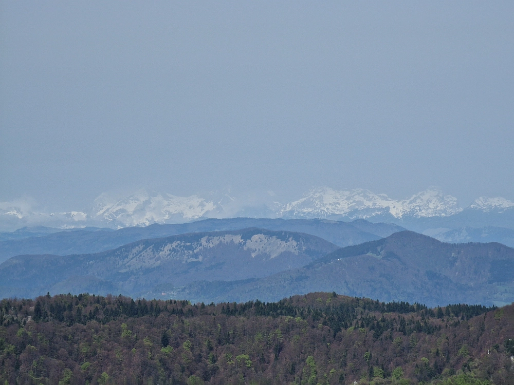 Slika je vidna v Google Chromu.