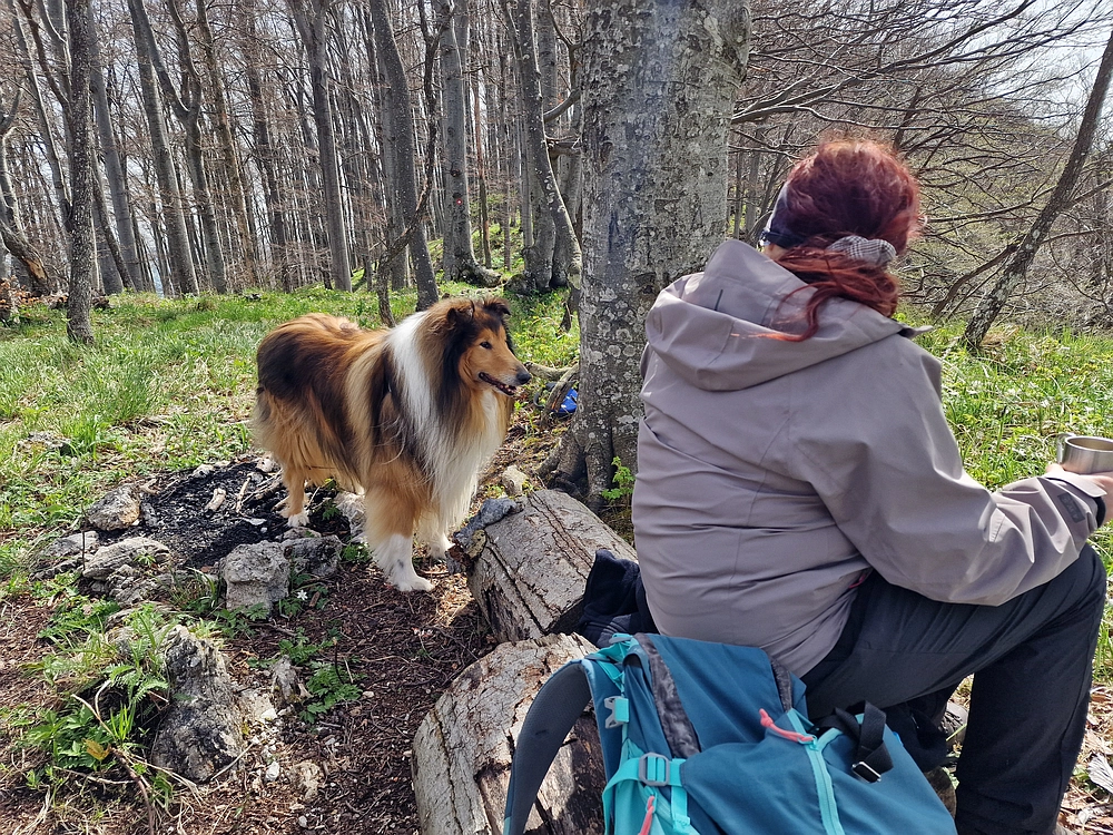 Slika je vidna v Google Chromu.