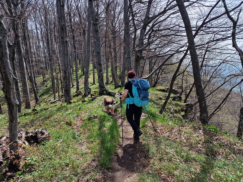 Slika je vidna v Google Chromu.