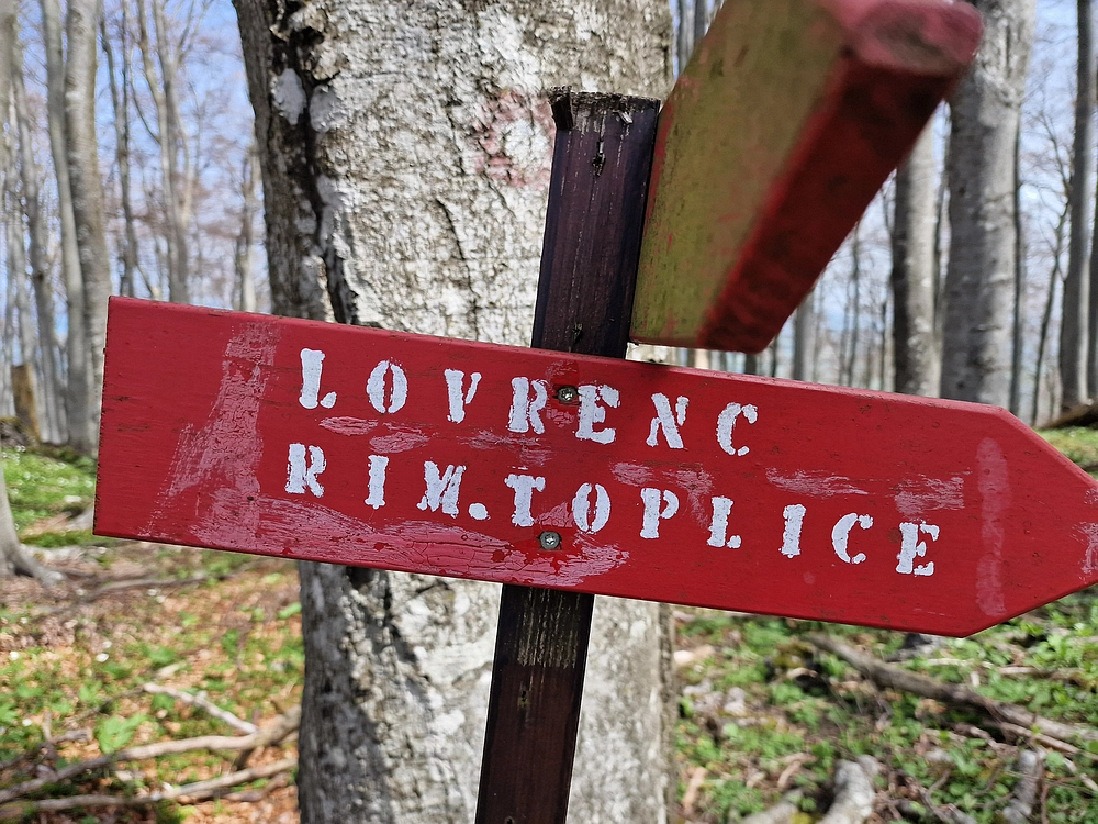 Slika je vidna v Google Chromu.