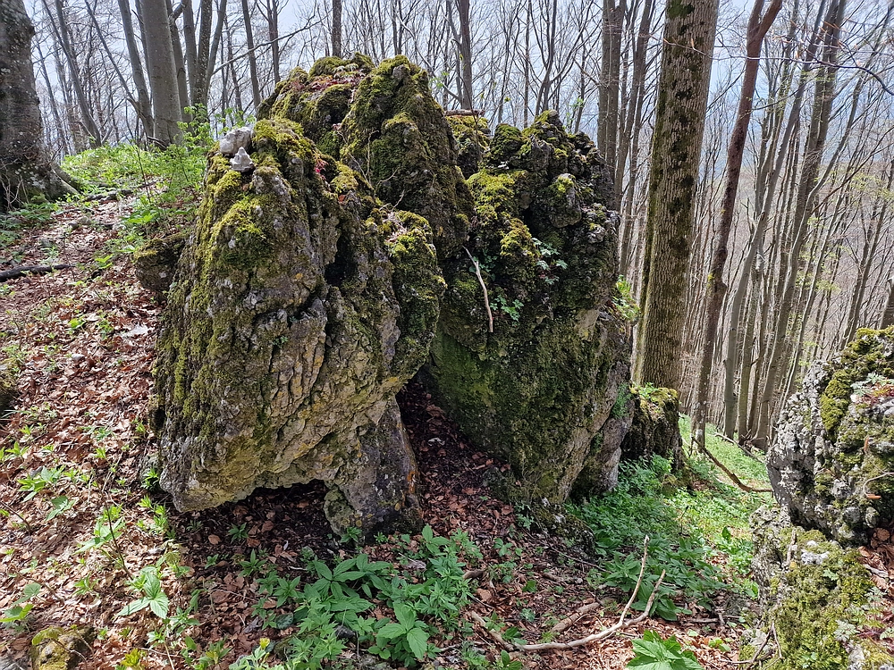 Slika je vidna v Google Chromu.