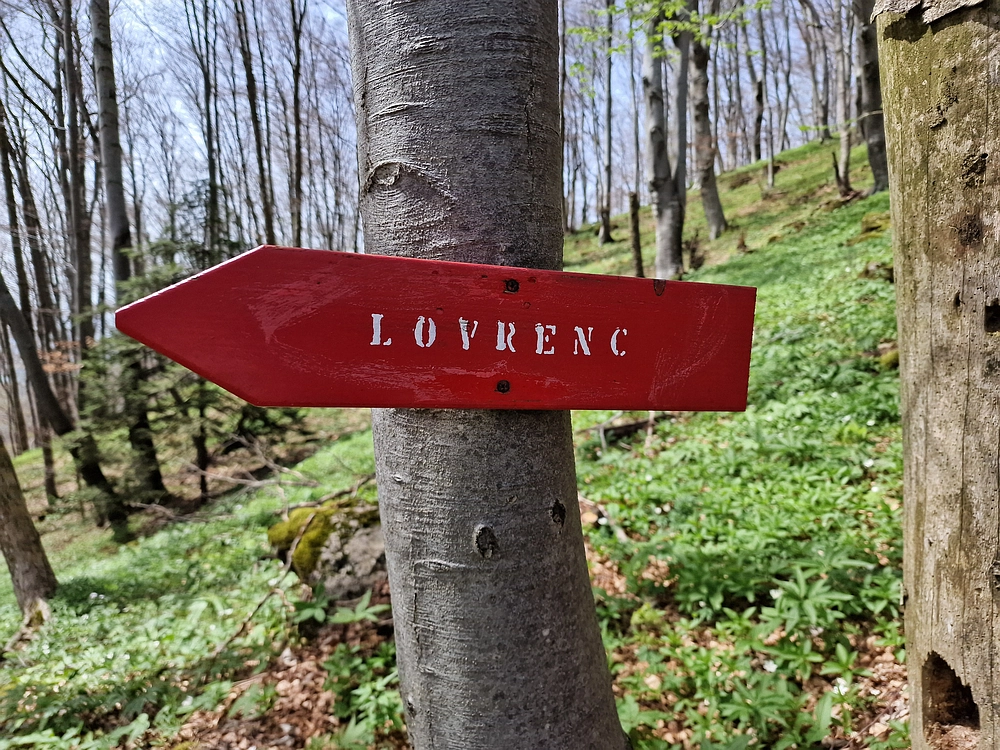 Slika je vidna v Google Chromu.