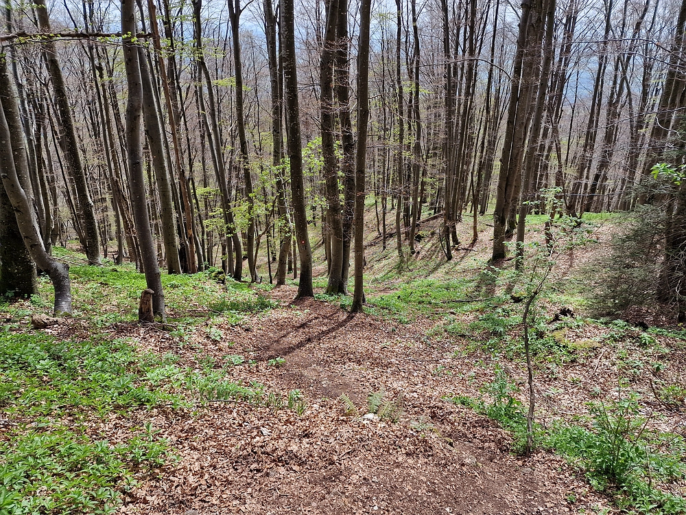 Slika je vidna v Google Chromu.