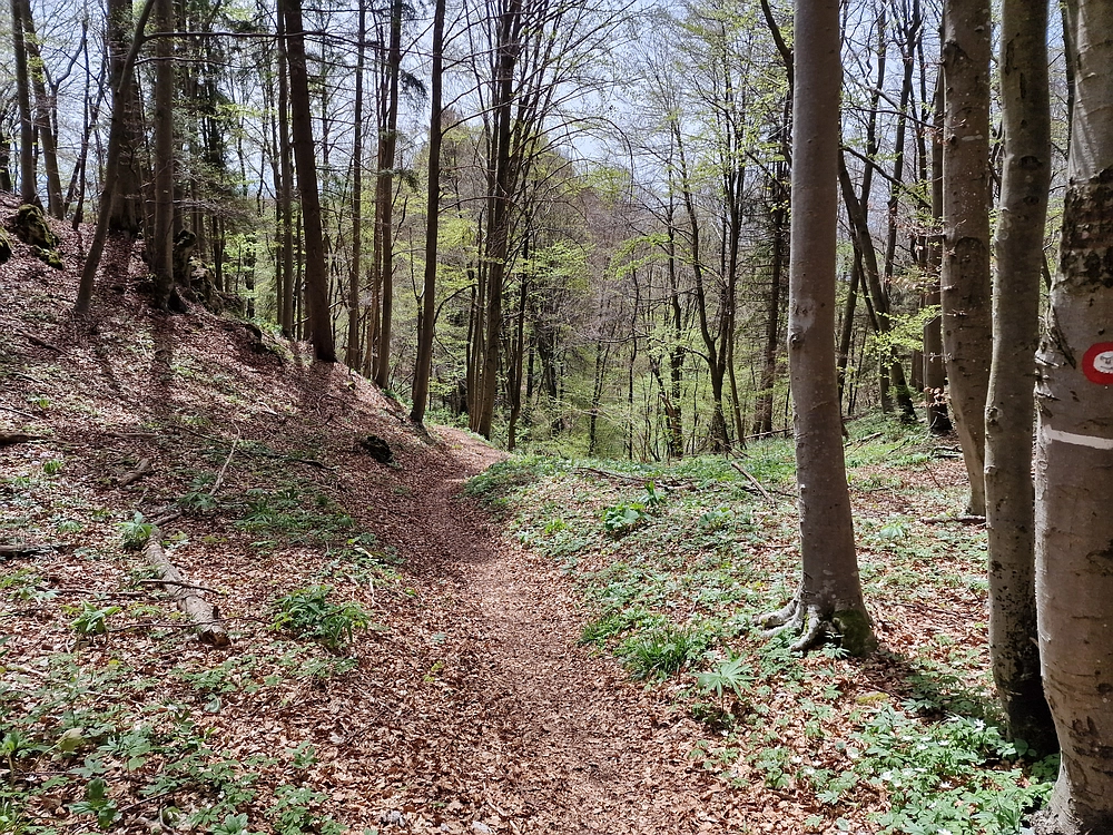 Slika je vidna v Google Chromu.