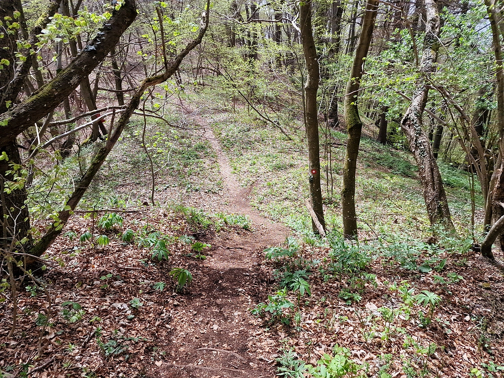 Slika je vidna v Google Chromu.