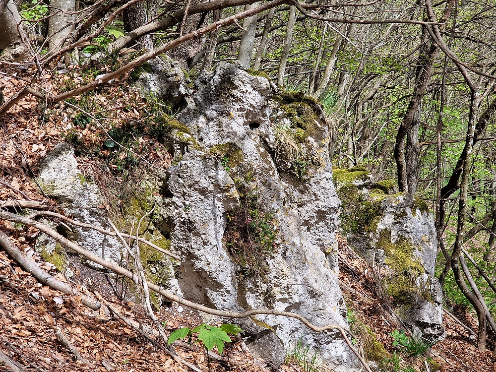 Slika je vidna v Google Chromu.