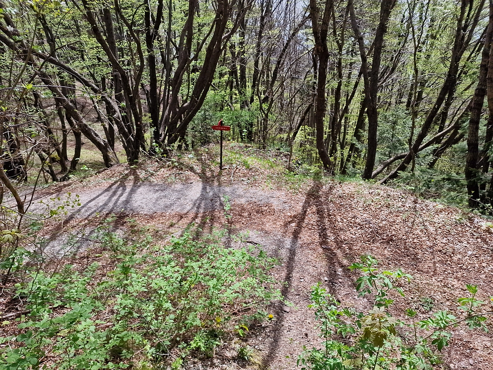 Slika je vidna v Google Chromu.