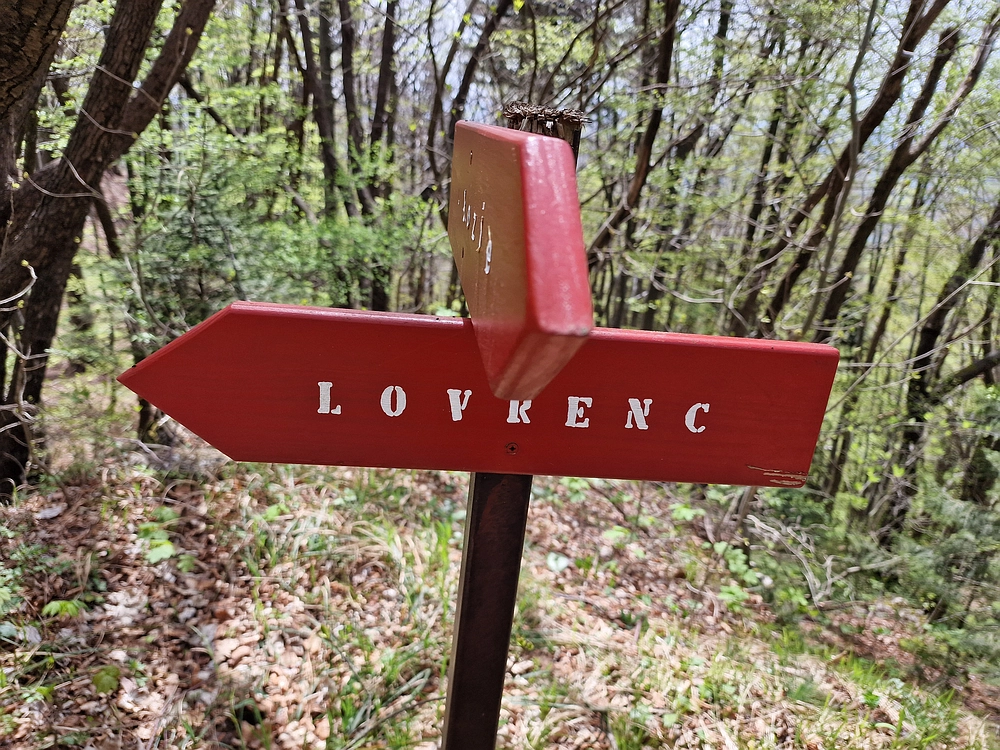 Slika je vidna v Google Chromu.