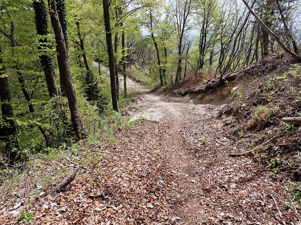 Slika je vidna v Google Chromu.