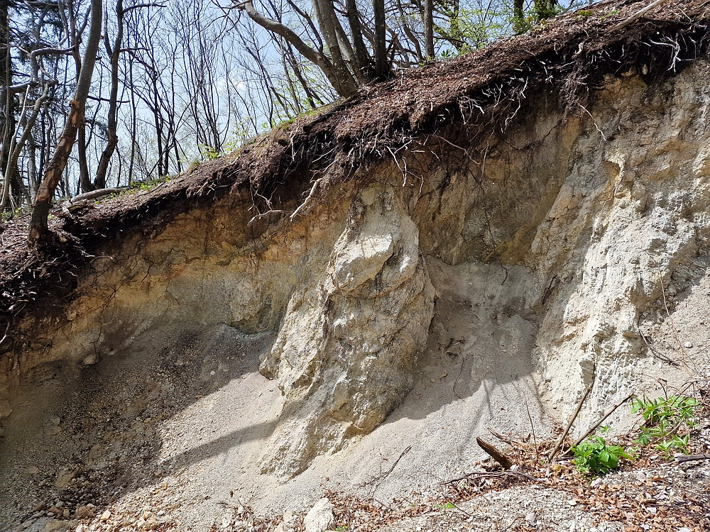 Slika je vidna v Google Chromu.