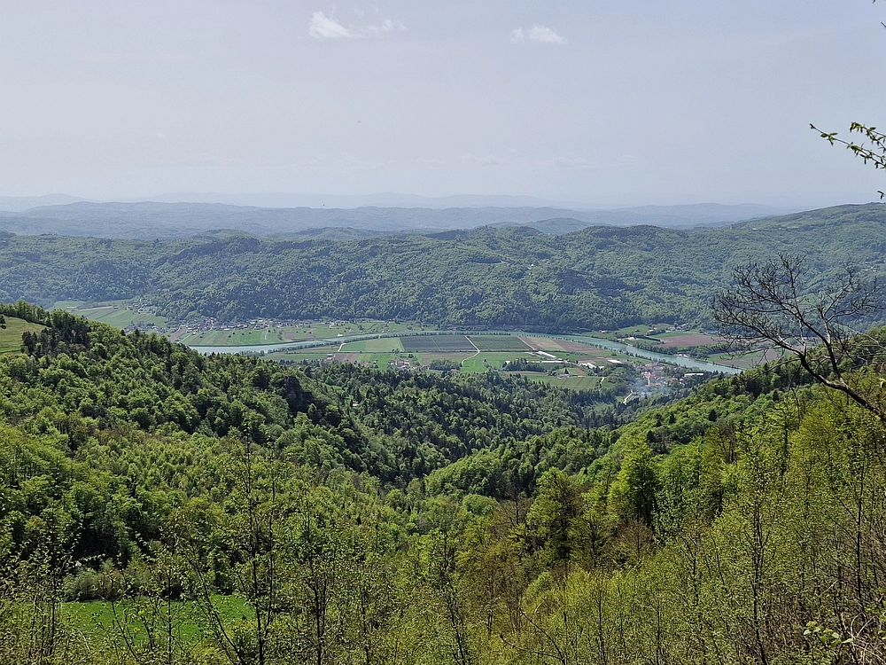Slika je vidna v Google Chromu.
