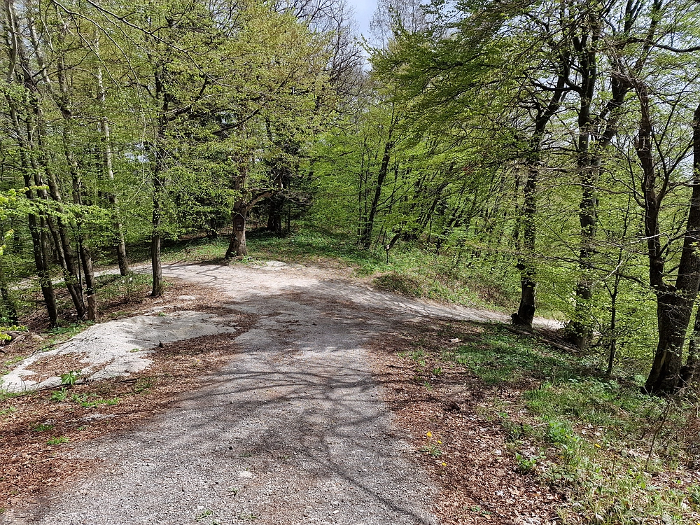 Slika je vidna v Google Chromu.