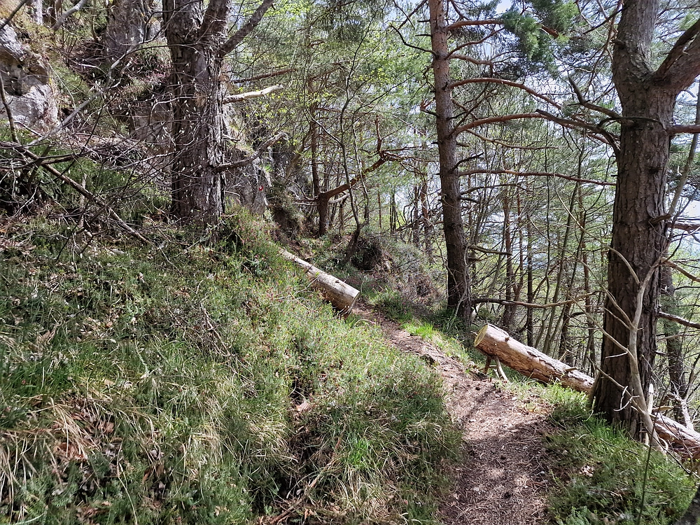 Slika je vidna v Google Chromu.