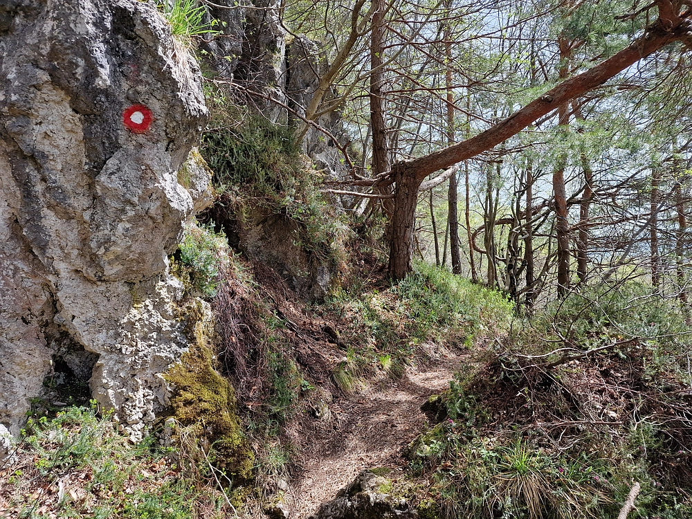 Slika je vidna v Google Chromu.