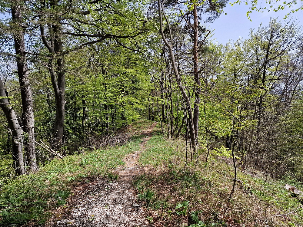 Slika je vidna v Google Chromu.