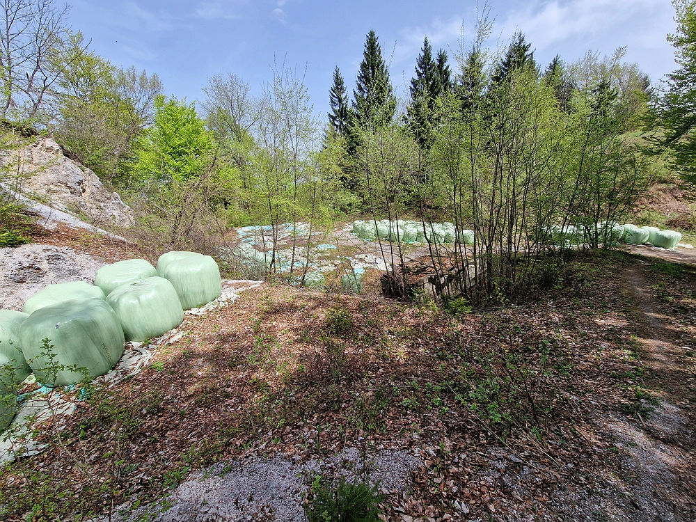 Slika je vidna v Google Chromu.