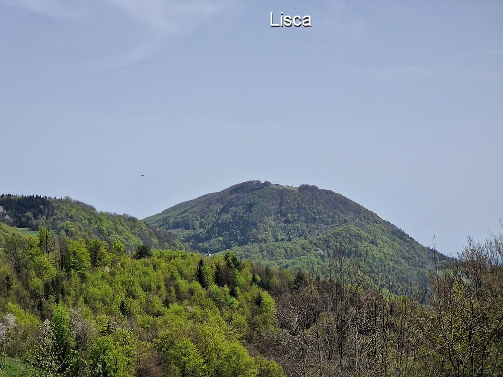 Slika je vidna v Google Chromu.
