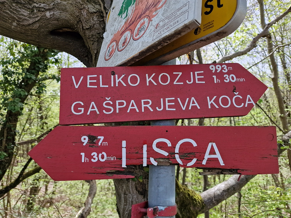 Slika je vidna v Google Chromu.