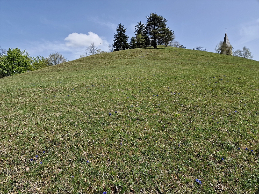 Slika je vidna v Google Chromu.