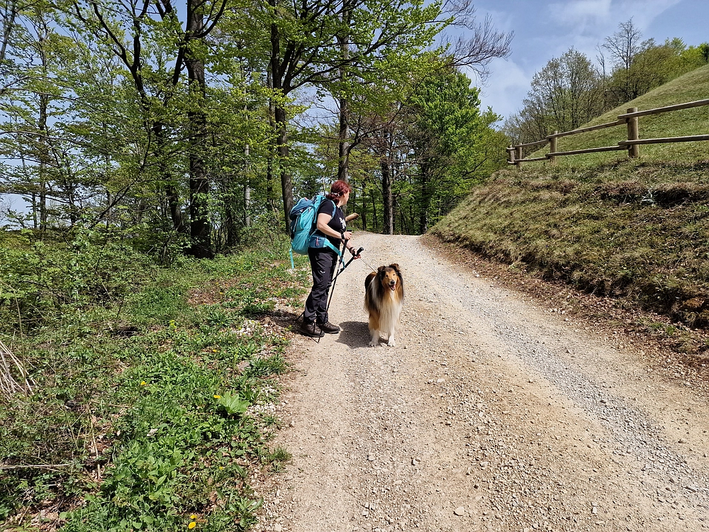 Slika je vidna v Google Chromu.