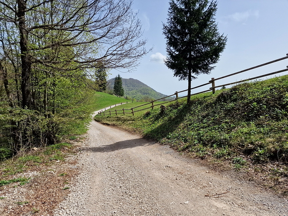 Slika je vidna v Google Chromu.