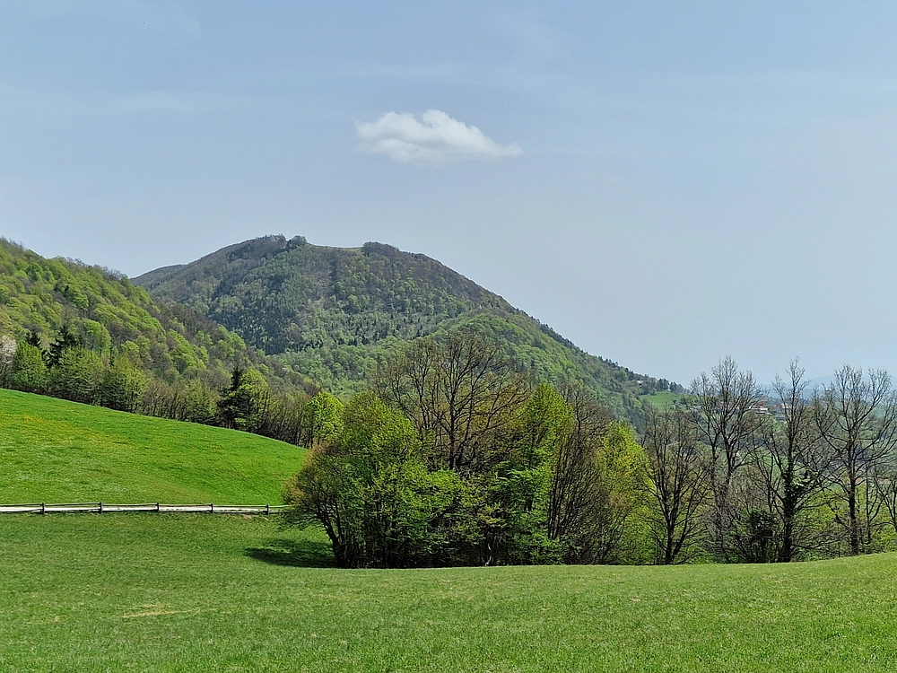 Slika je vidna v Google Chromu.