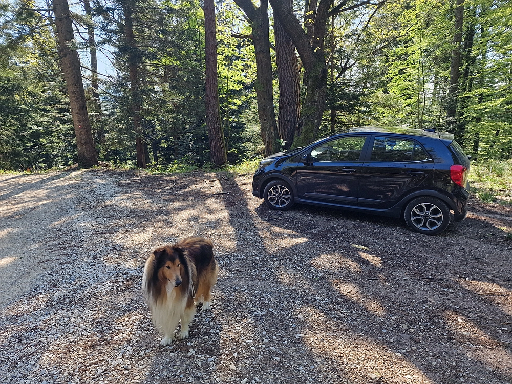 Slika je vidna v Google Chromu.