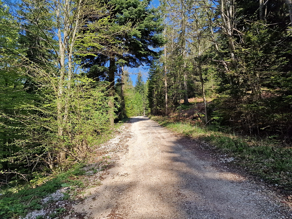 Slika je vidna v Google Chromu.