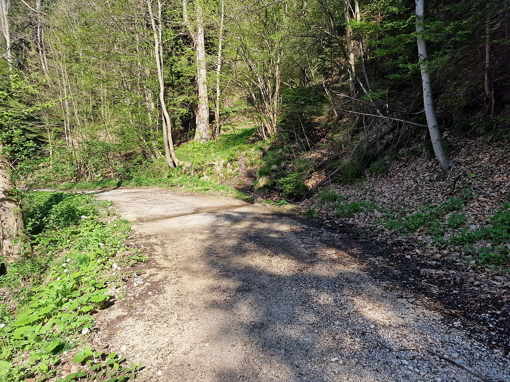 Slika je vidna v Google Chromu.