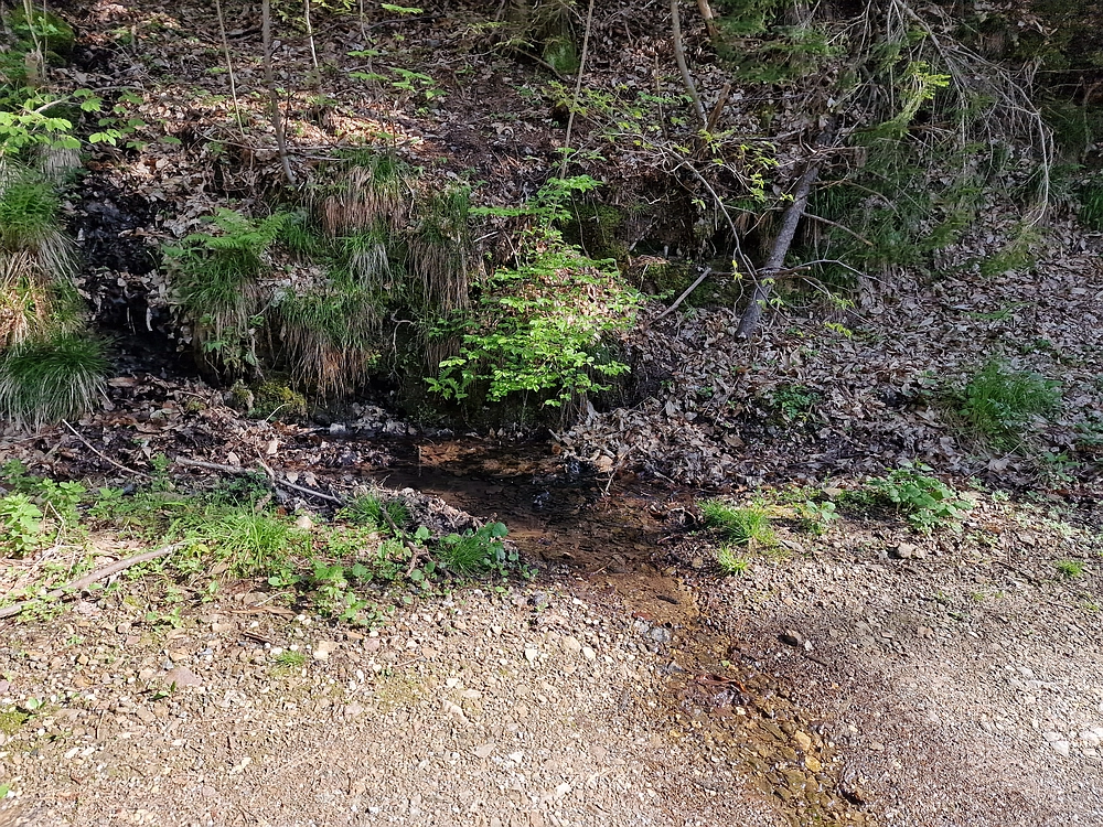 Slika je vidna v Google Chromu.
