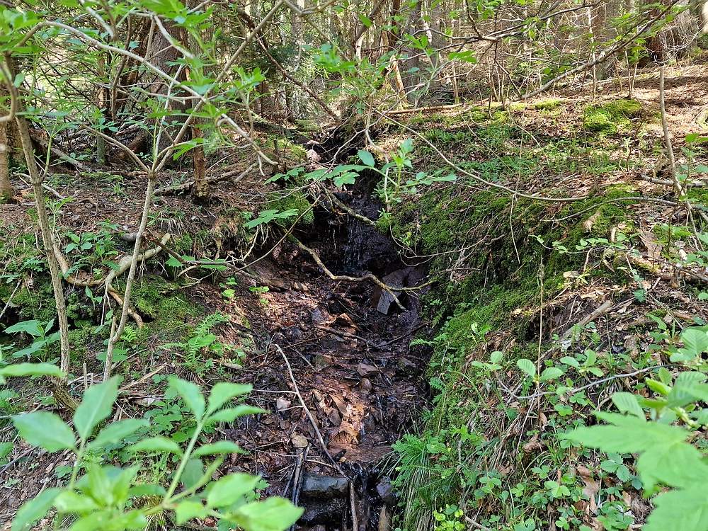 Slika je vidna v Google Chromu.