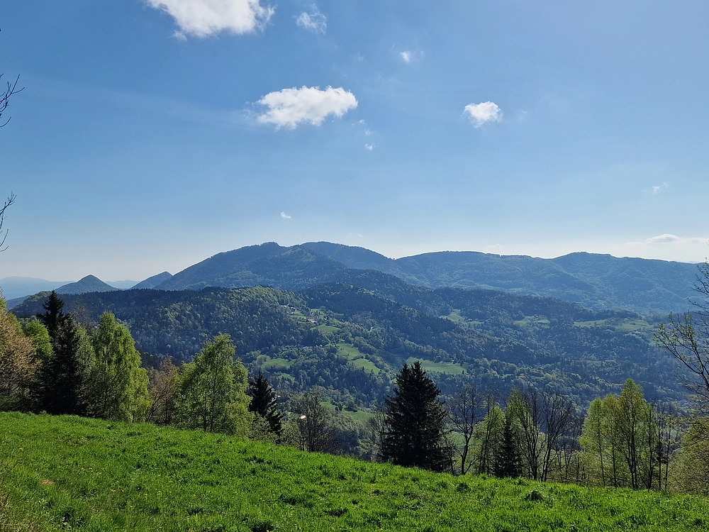 Slika je vidna v Google Chromu.