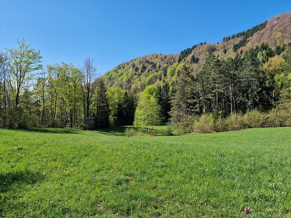 Slika je vidna v Google Chromu.