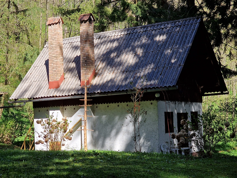 Slika je vidna v Google Chromu.