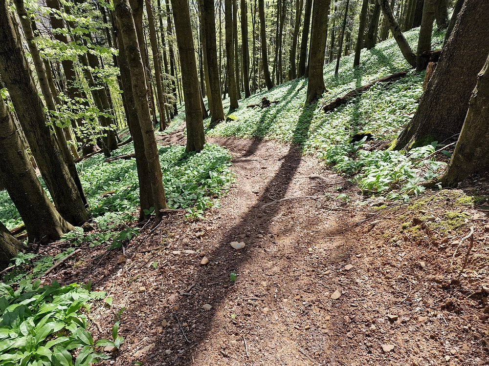 Slika je vidna v Google Chromu.