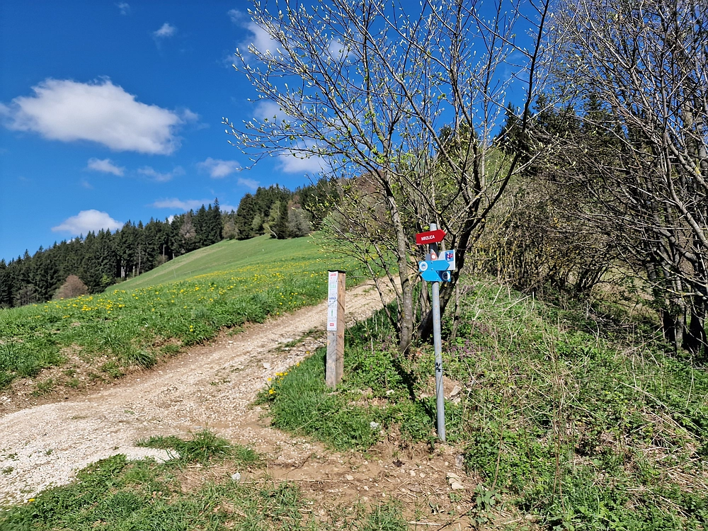 Slika je vidna v Google Chromu.