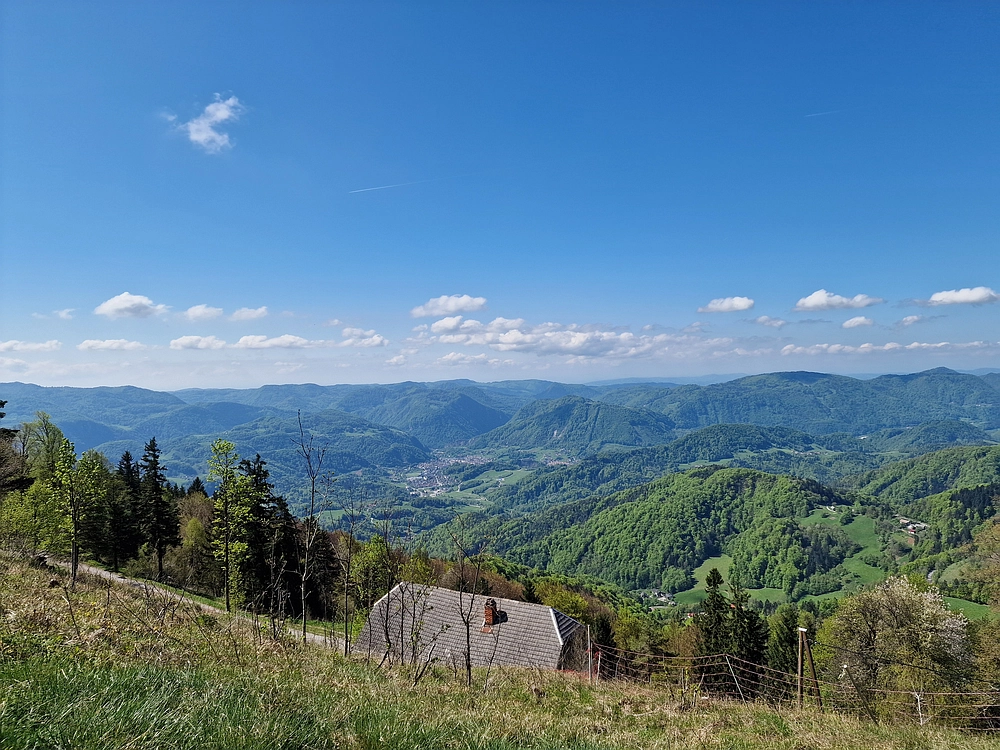 Slika je vidna v Google Chromu.