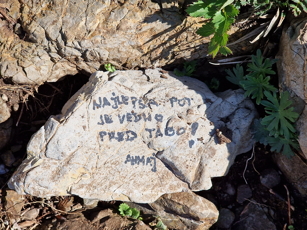 Slika je vidna v Google Chromu.