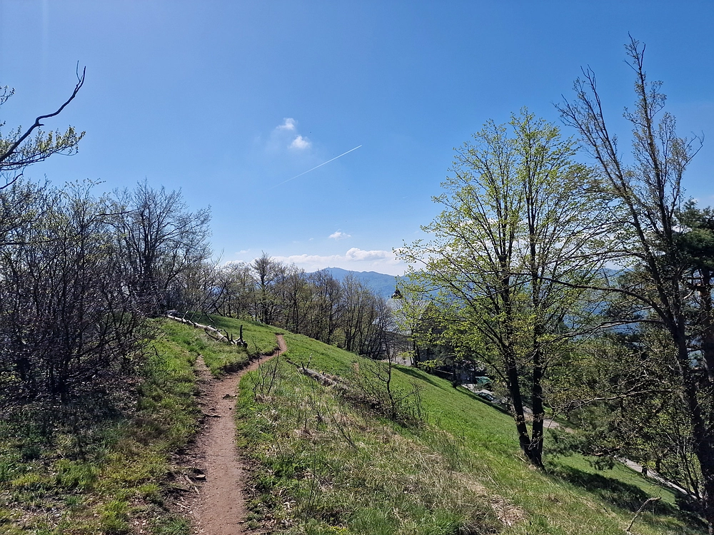 Slika je vidna v Google Chromu.