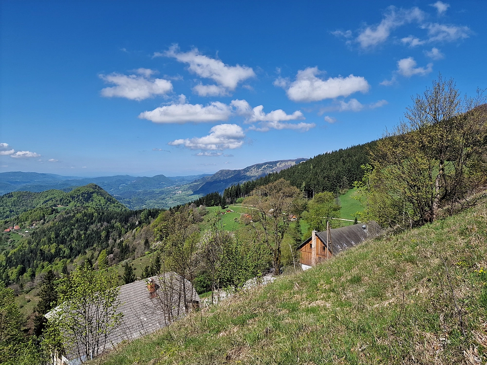 Slika je vidna v Google Chromu.