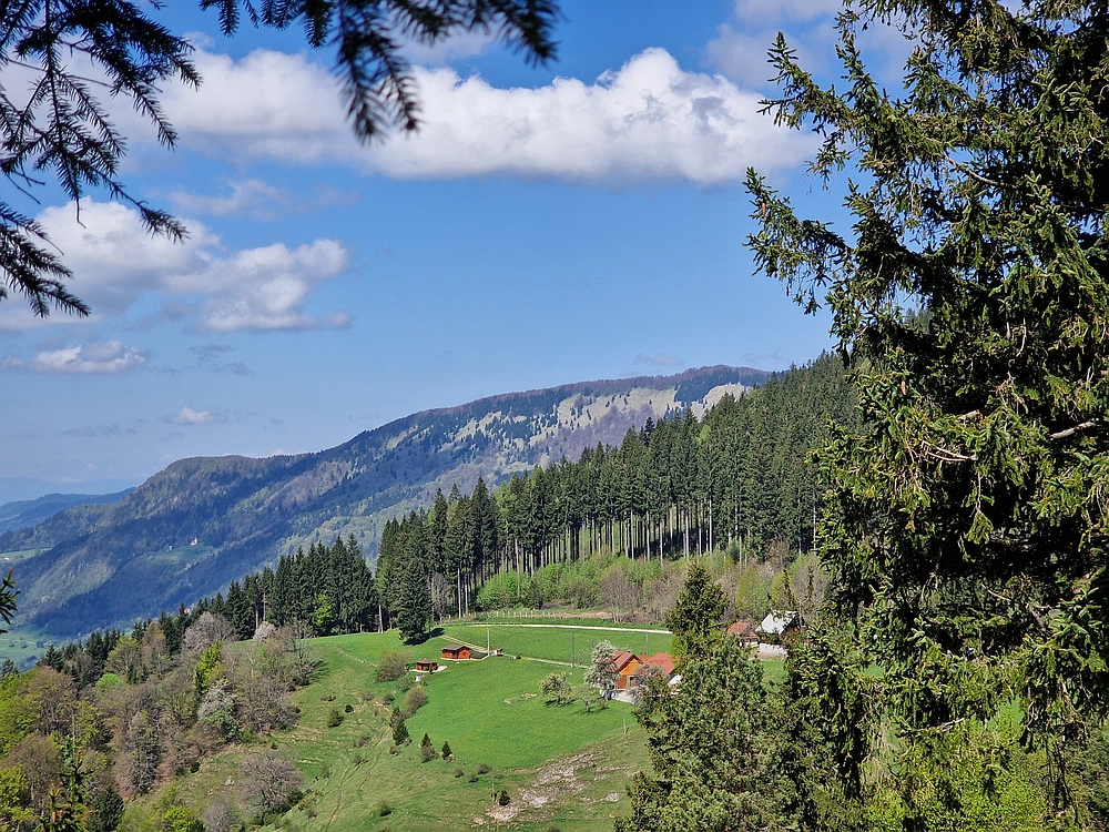 Slika je vidna v Google Chromu.