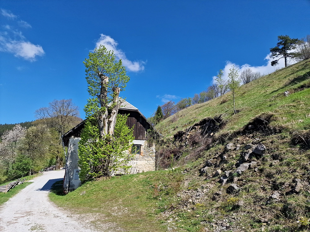 Slika je vidna v Google Chromu.