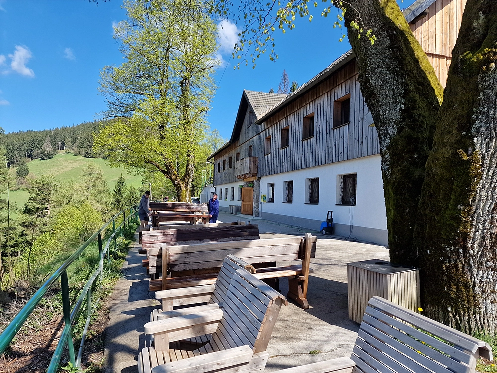 Slika je vidna v Google Chromu.