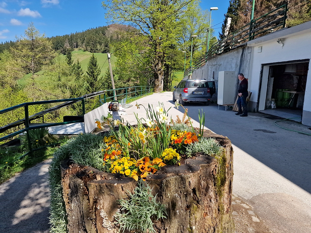 Slika je vidna v Google Chromu.
