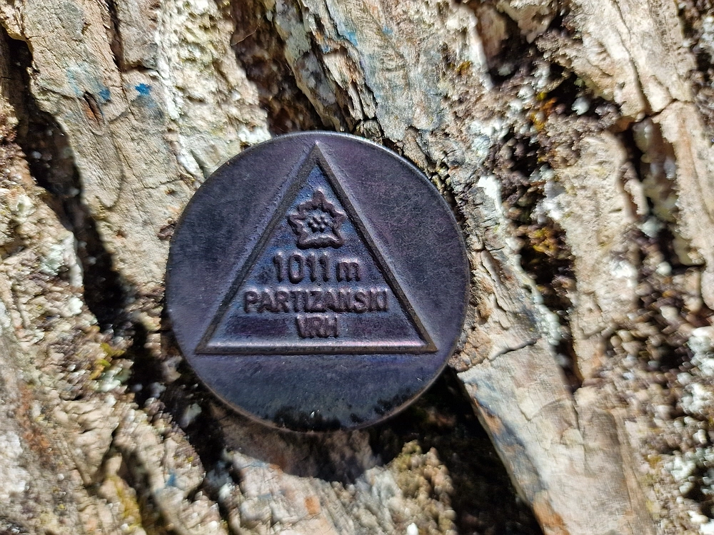 Slika je vidna v Google Chromu.