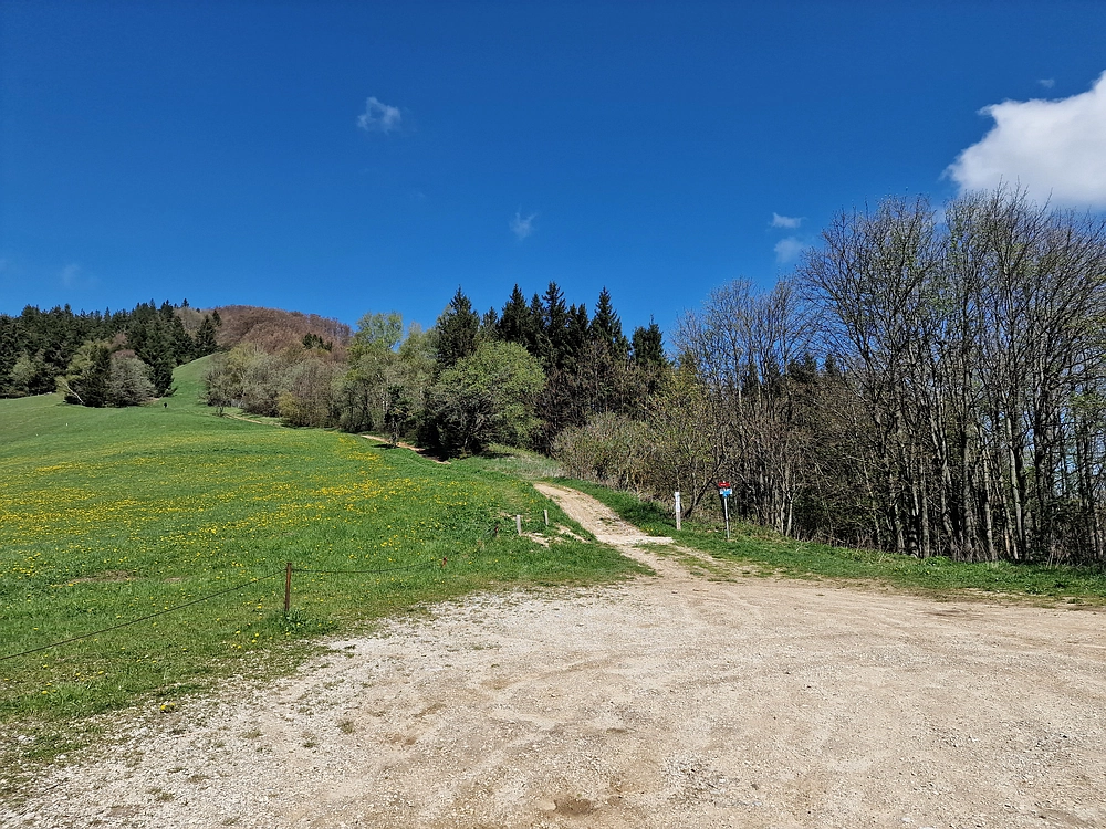 Slika je vidna v Google Chromu.