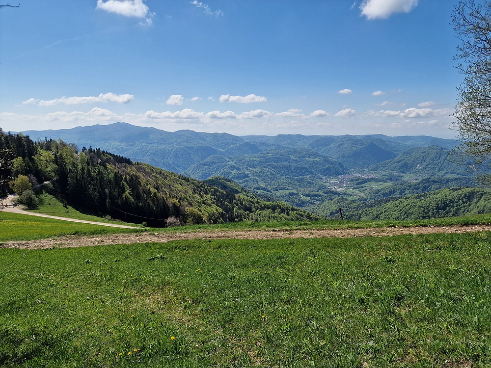 Slika je vidna v Google Chromu.