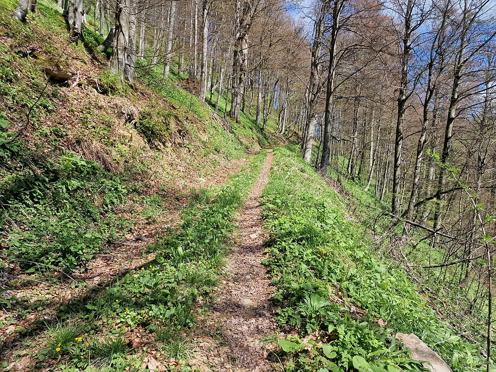 Slika je vidna v Google Chromu.