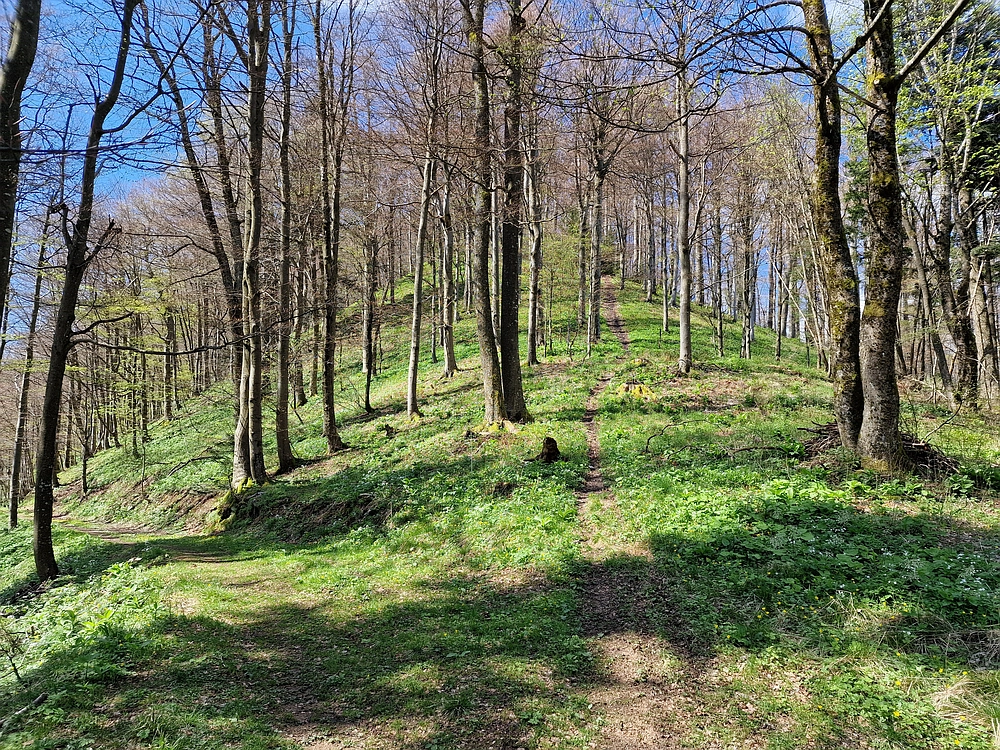 Slika je vidna v Google Chromu.